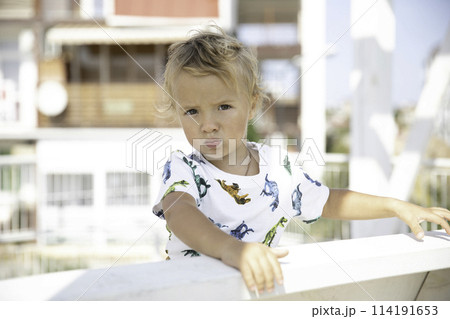 Little cute blond boy on a walk on a summer sunny day on a swing in the yard Little cute blond boy on a walk on a summer sunny day on a swing in the yard 114191653