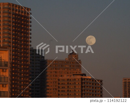川口市の高層マンション群の背後から現れた満月 114192122