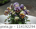 ビオラ 114192294
