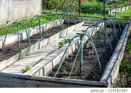 Low greenhouse is prepared for planting seedlings. Low greenhouse is prepared for planting seedlings. 114192367