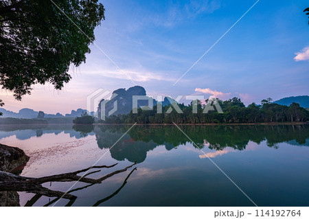 Reflection of the forest in the swamp in sunrise 114192764