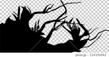 Driftwood silhouette in aquarium 114193042