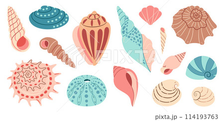 Sea shell, sink cartoon set. flat design illustration Sea shell, sink cartoon set. flat design illustration 114193763
