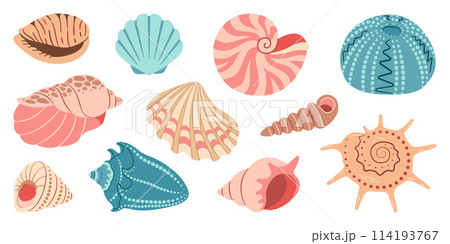 Sea shell, sink cartoon set. flat design illustration 114193767