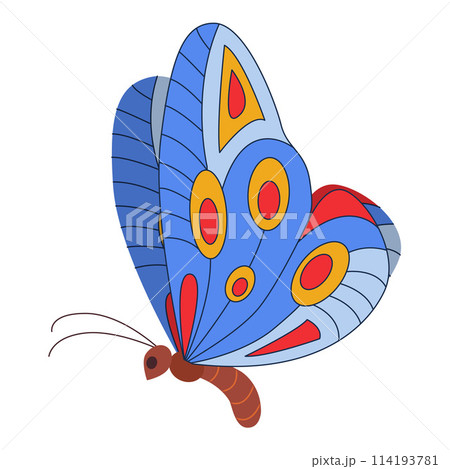 Colorful Butterfly icon logo isolated. Beautiful Butterfly illustration 114193781