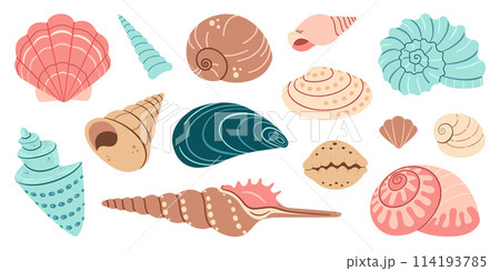 Sea shell, sink cartoon set. flat design illustration 114193785