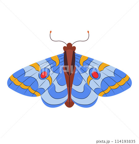 Colorful Butterfly icon logo isolated. Beautiful Butterfly illustration 114193835