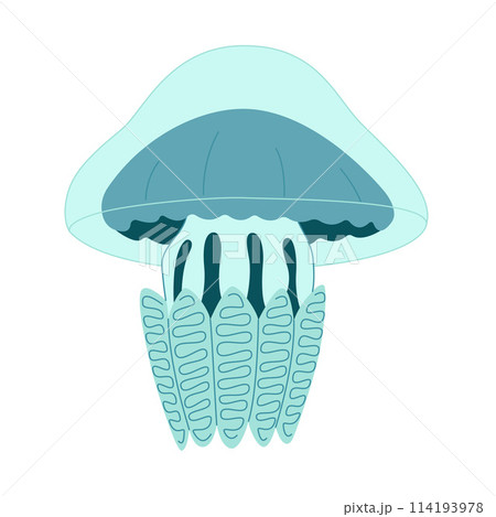 Cartoon jellyfish trendy flat style. Vector illustration jellyfish isolated on white 114193978