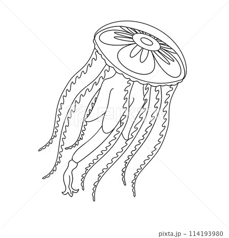 Jellyfish black and white line art illustration. Art therapy Coloring page 114193980