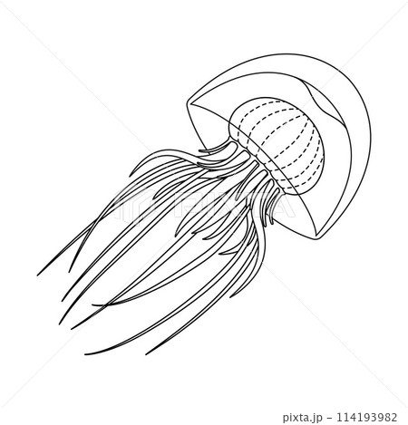 Jellyfish black and white line art illustration. Art therapy Coloring page 114193982