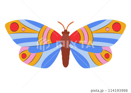 Colorful Butterfly icon logo isolated. Beautiful Butterfly illustration Colorful Butterfly icon logo isolated. Beautiful Butterfly illustration 114193998