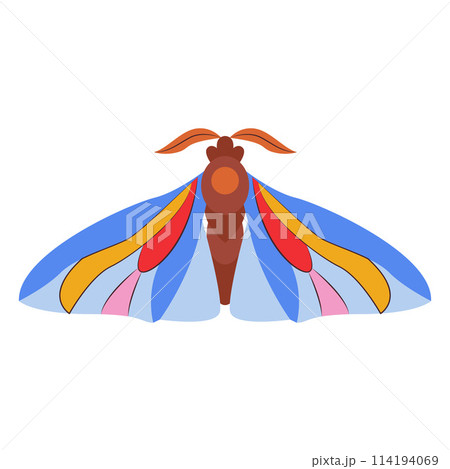 Colorful Butterfly icon logo isolated. Beautiful Butterfly illustration 114194069