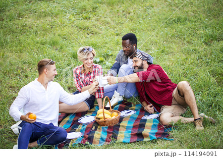 Friends at the park making a picnic 114194091