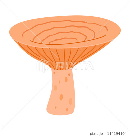 Saffron milk cap. Edible forest mushroom delicious milk cap 114194104