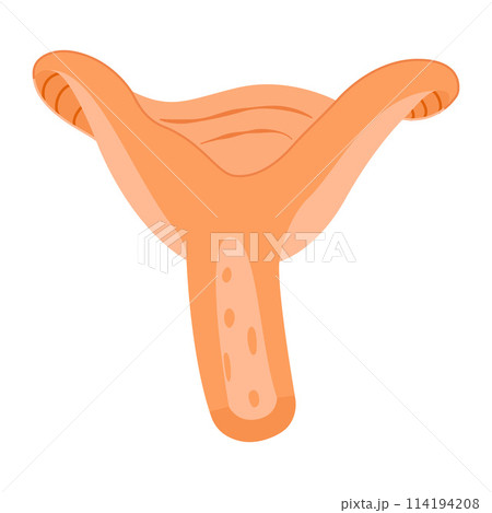 Saffron milk cap. Sliced mushrooms delicious milk cap 114194208