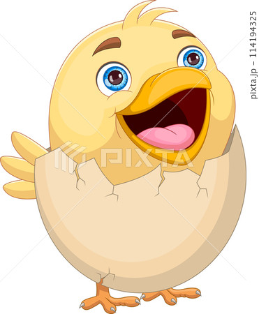 cartoon chick hatching from egg cartoon chick hatching from egg 114194325
