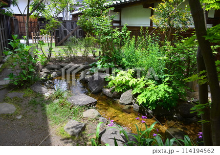 富田林寺内町 114194562