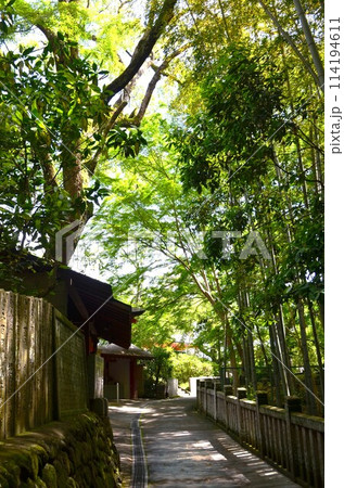 新緑の滝谷不動 新緑の滝谷不動 114194611