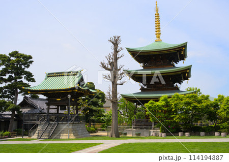 三学院 境内 埼玉県蕨市北町 三学院 境内 埼玉県蕨市北町 114194887