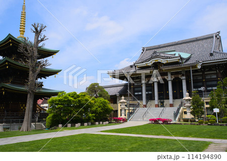 三学院　境内　埼玉県蕨市北町 114194890