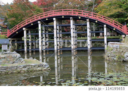秋の丹生都比売神社 秋の丹生都比売神社 114195653
