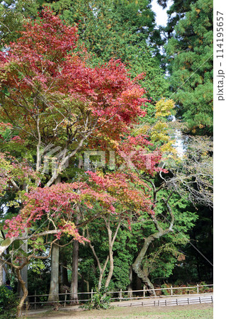 秋の丹生都比売神社 114195657