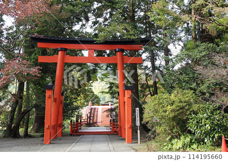 秋の丹生都比売神社 114195660