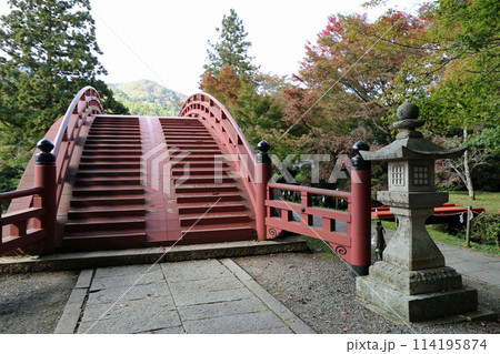 秋の丹生都比売神社 秋の丹生都比売神社 114195874