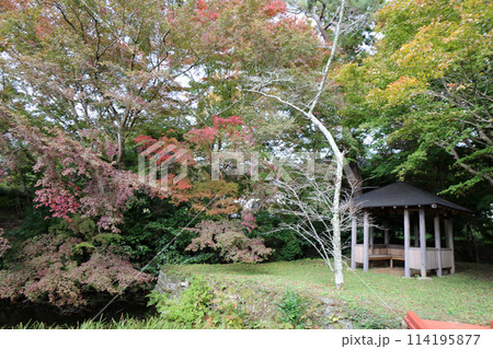 秋の丹生都比売神社 114195877