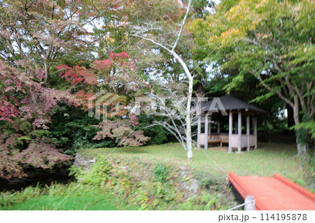 秋の丹生都比売神社 114195878