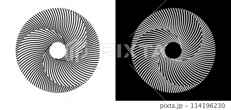 Set of circles with lines. Black spiral on white background and white spiral on black background. Dynamic design element with 3 parts. 114196230