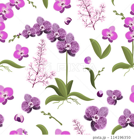 Orchid seamless pattern , Hand drawing. Not AI. Vector illustration 114196350