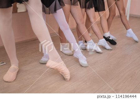 Close-up of feet of 5 little girls and teacher at ballet class.  114196444