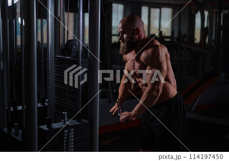 Bald Caucasian Bodybuilder doing heavy triceps exercises with cable. Bald Caucasian Bodybuilder doing heavy triceps exercises with cable. 114197450