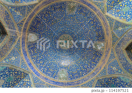 Persian elegance Persian elegance 114197521