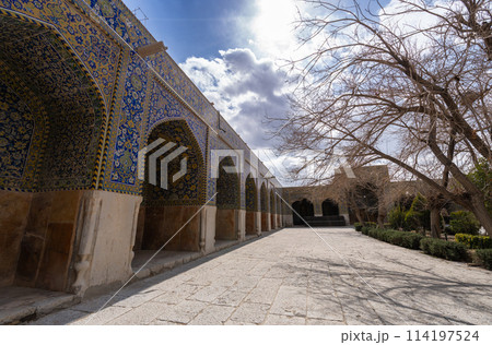 Persian elegance 114197524