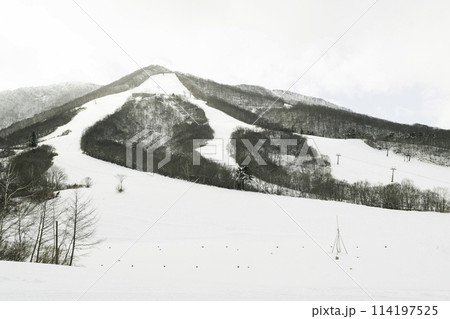 雪に覆われた静寂のスキーリゾートと広がる冬の自然風景 114197525