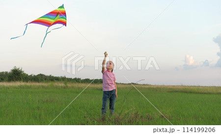 Cute little girl playing flying kite running at green grass summer field outdoor. Adorable female kid child relaxing enjoy freedom happy childhood flight toy lifestyle entertainment at meadow 114199206
