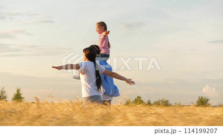 Family running flying plane imagination at sunset dry wheat field side view tracking shot. Happy mother father and daughter playing aeroplane with open hands relaxing together enjoy freedom 114199207