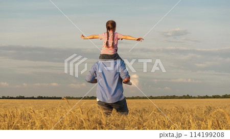 Little girl sitting on father shoulders flying over sunset dry wheat field enjoy freedom back view. Happy male parent running with daughter playing flight fantasy imagination harvest cereal plantation 114199208