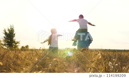 Happy family running at sunset dry wheat field with open hands flying imagination back view. Cheerful mother father and son fooling playing together flight fantasy imagine freedom happiness and unity 114199209
