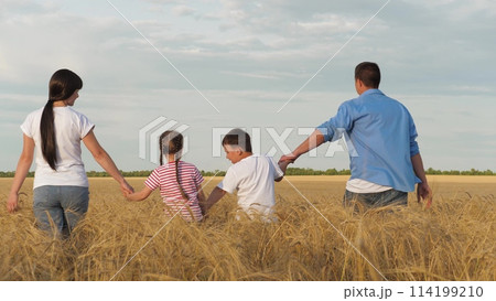 Mother father and kids walking at dry wheat field holding hands relaxing outdoor back view. Happy family going agriculture cereal harvest plantation organic nature landscape freedom leisure activity 114199210