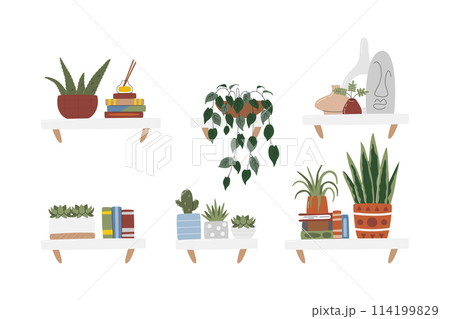 Home decor plants on hanging shelves set isolated 114199829