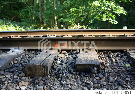 Old rail road tracks in East Vancouver, Canada 114199851