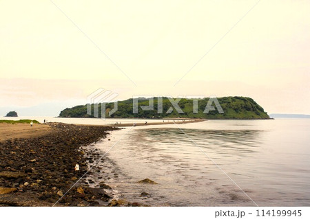 知林ヶ島海の道 114199945