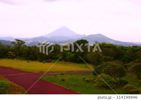 千貫平から見る開聞岳 千貫平から見る開聞岳 114199946