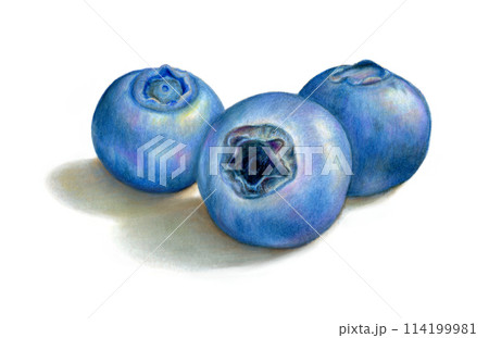 Blueberries on white background Blueberries on white background 114199981