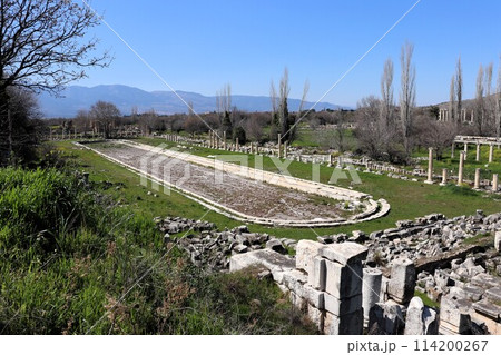 アフロディスィアス遺跡 世界遺産 エーゲ海沿岸 トルコ アジア アフロディスィアス遺跡 世界遺産 エーゲ海沿岸 トルコ アジア 114200267