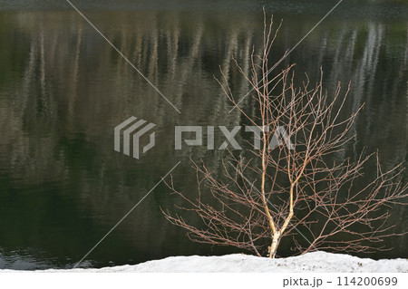 雪解けの木戸池 雪解けの木戸池 114200699