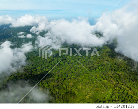 Aerial view flowing fog waves on mountains tropical rainforest,Bird eye view image over the clouds, Amazing nature background with clouds and mountains peaks in Thailand 114201218